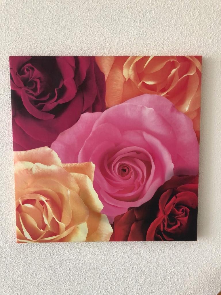 Canvas wanddecoratie, fotolijst met rozen., Ophalen of Verzenden, Zo goed als nieuw