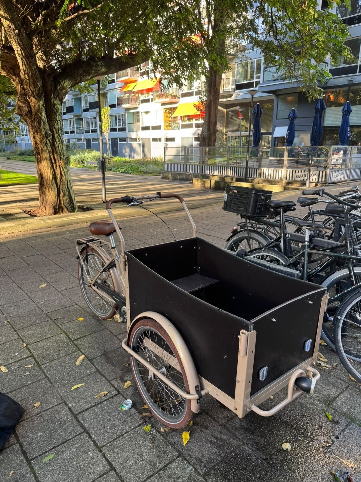 Bakfiets met 2 voorwielen, Gebruikt, Goederen, Trommelrem, Ophalen