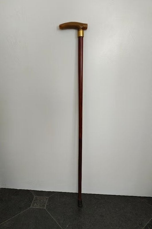 Wandelstok, Ophalen of Verzenden, Gebruikt