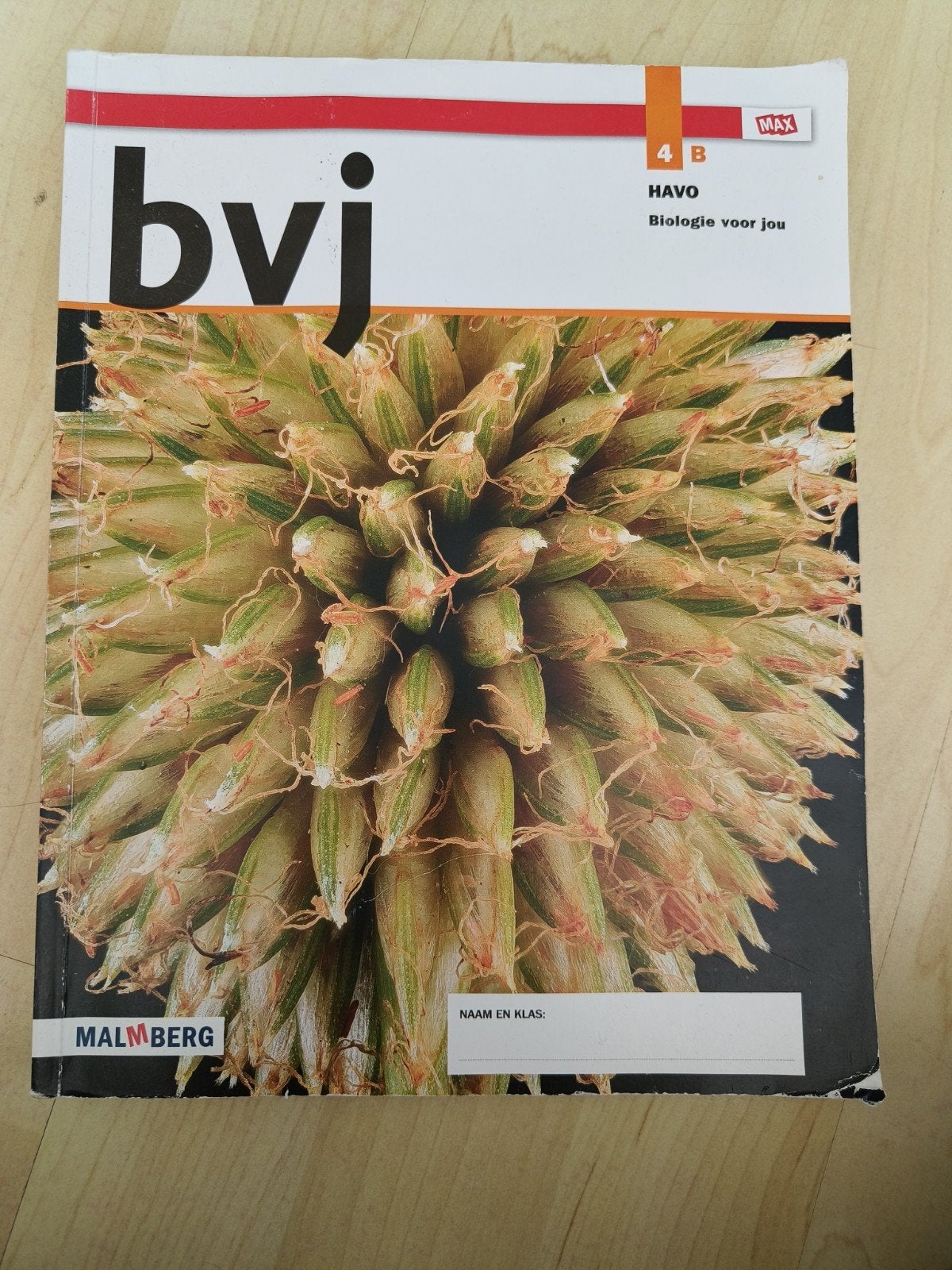 Bvj Biologie voor jou 4B HAVO Malmberg, Ophalen of Verzenden, Gelezen, HAVO, Biologie