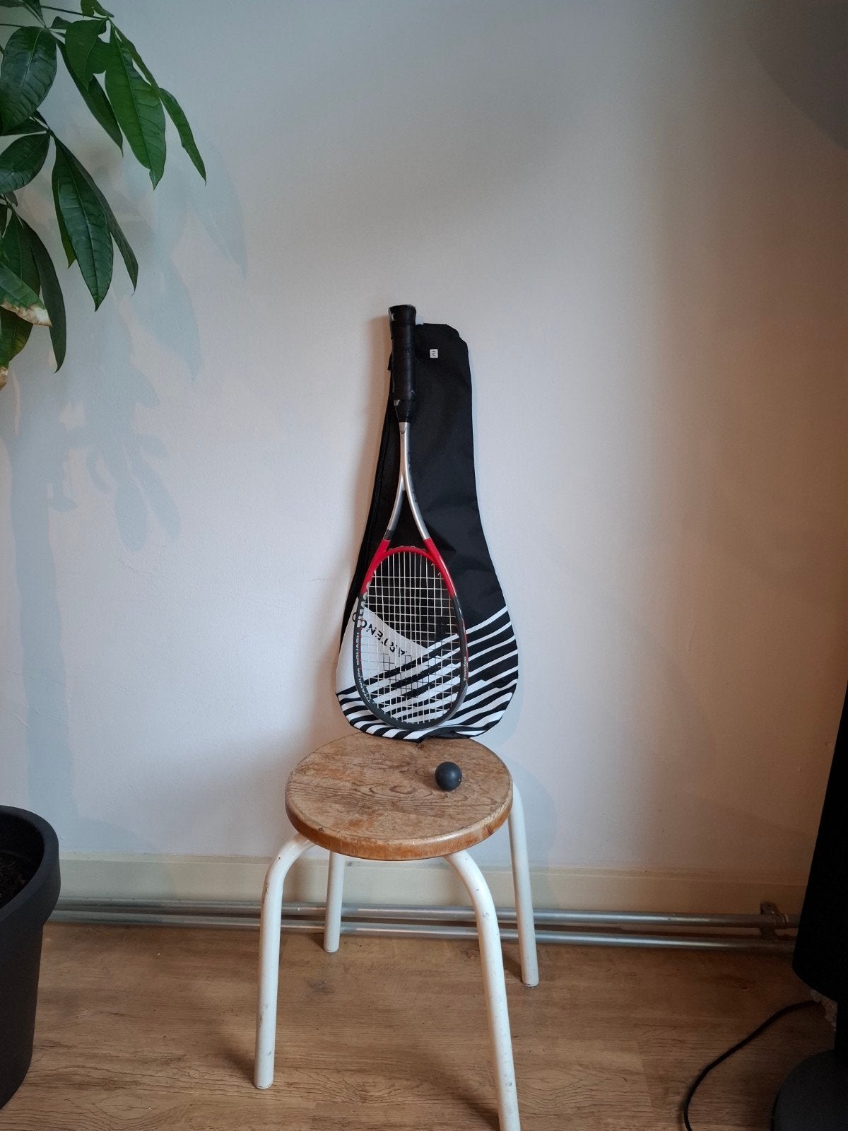 Squash racket with cover and ball / Squash racket met h, Sport en Fitness, Overige merken, Gebruikt, Ophalen of Verzenden, Racket
