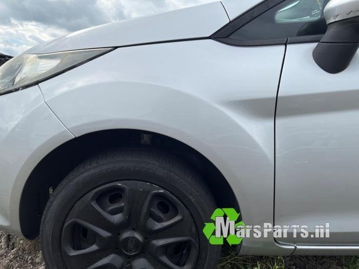 Scherm links-voor van een Ford Fiesta, Gebruikt, -, -, Ophalen of Verzenden