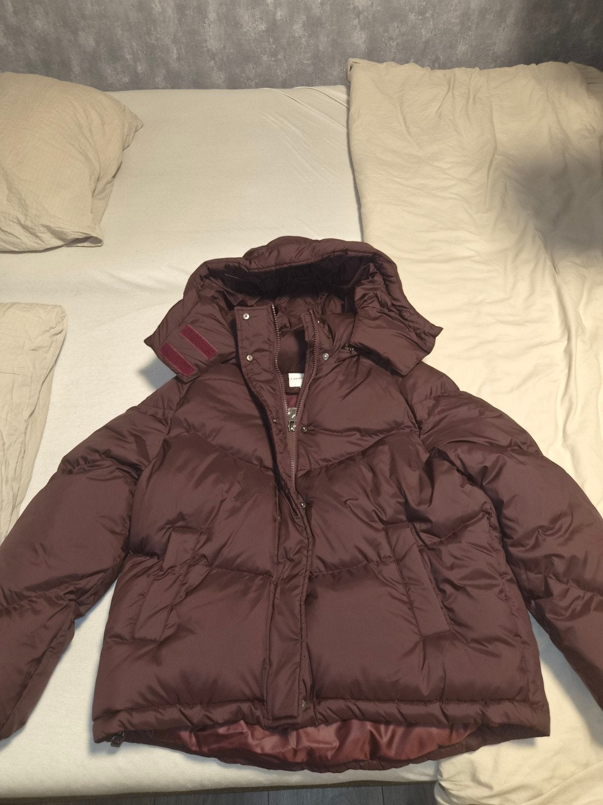 Dames winterjas mt S/M bordeaux nieuw!, Kleding | Dames, Ophalen of Verzenden, Nieuw, Rood