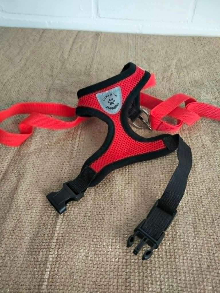 Katten/honden tuigje, Dieren en Toebehoren, Honden-accessoires, Ophalen, Zo goed als nieuw