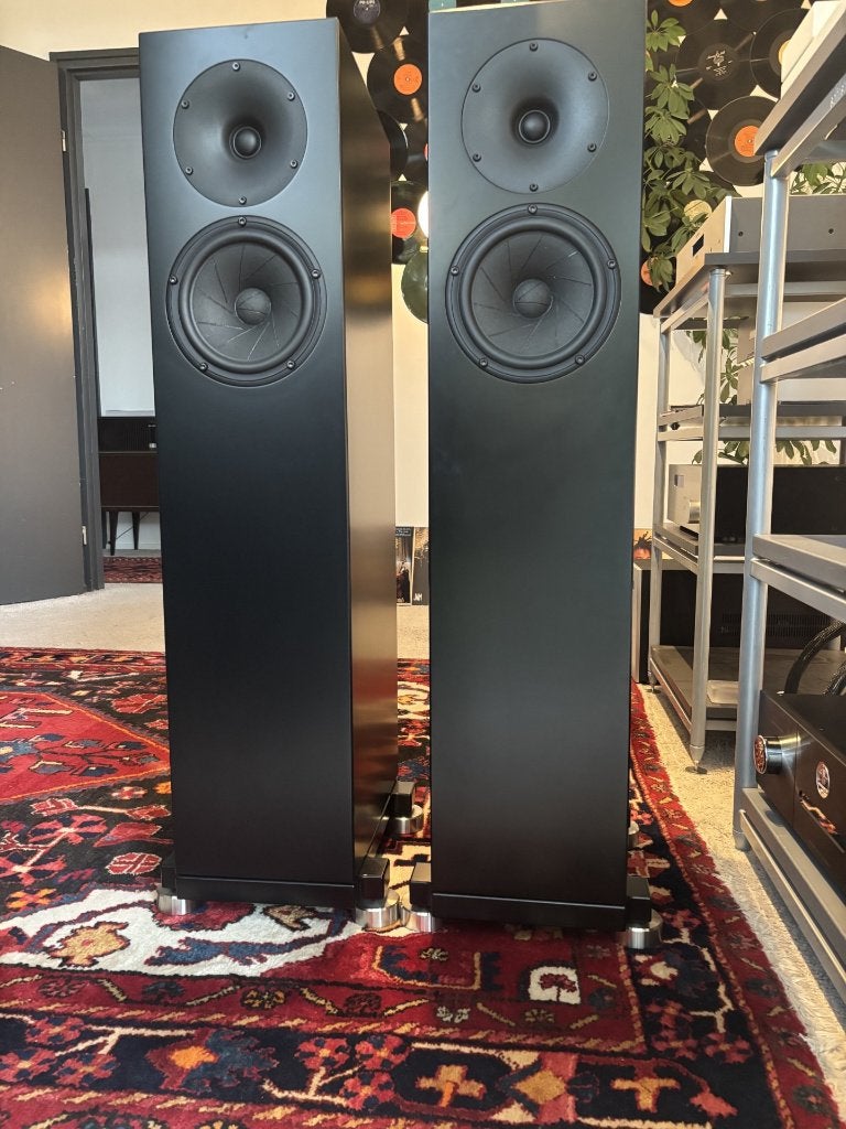 TG-acoustics piu musica S, Ophalen, Gebruikt, Vloerstaande luidspreker, Overige merken
