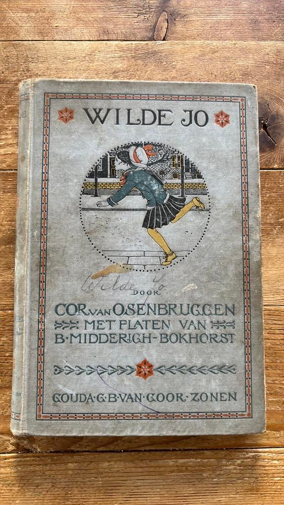Wilde Jo geschreven door Cor van Osenbruggen, Antiek en Kunst, Ophalen