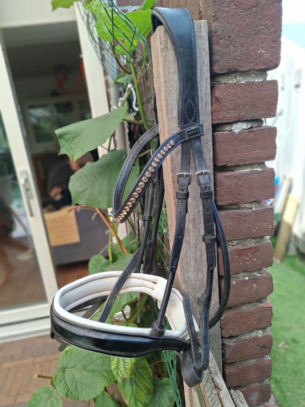 Anky rondgenaaid met lak, Dieren en Toebehoren, Paarden en Pony's | Hoofdstellen en Tuigage, Ophalen of Verzenden, Anky, Hoofdstel