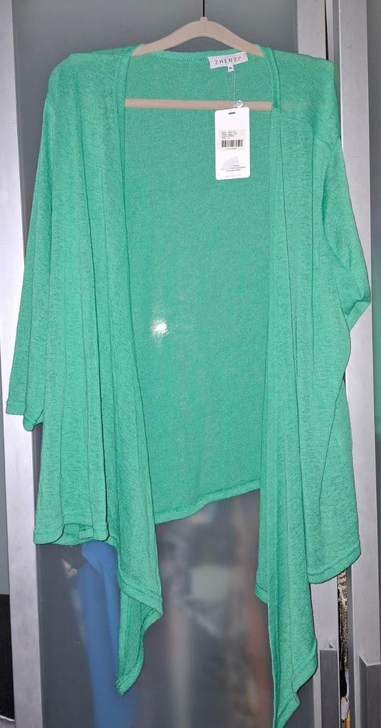 Nieuwe groene zomer vest van zenzhi maat xl, Trui of Vest, Nieuw, Ophalen of Verzenden, Zenzhi