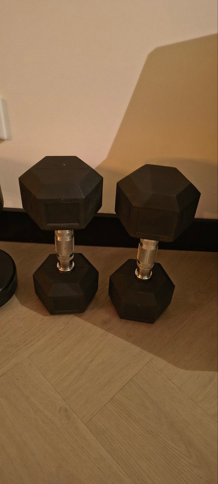 Kaytan 7.5kg Dumbbells (2 stuks), Sport en Fitness, Ophalen, Zo goed als nieuw, Benen, Dumbbell