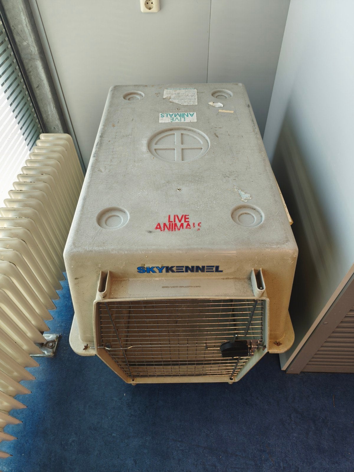 Skykennel - Bench - Transportbox, Dieren en Toebehoren, Ophalen, Gebruikt