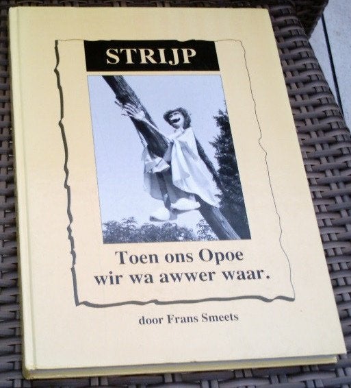 Strijp. Eindhoven. Frans Smeets. ISBN 908026461X. 1995., Ophalen of Verzenden, Zo goed als nieuw
