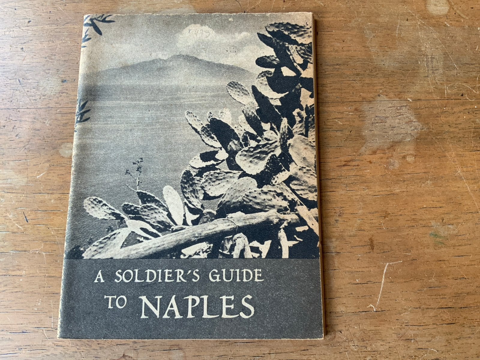 A Soldier's Guide to Naples - Oorlogsgids Napels, Europa, Ophalen of Verzenden, Reisgids of -boek, Gelezen