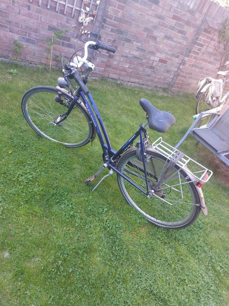 Raleigh damesfiets, Velgrem, Versnellingen, Ophalen, Overige merken