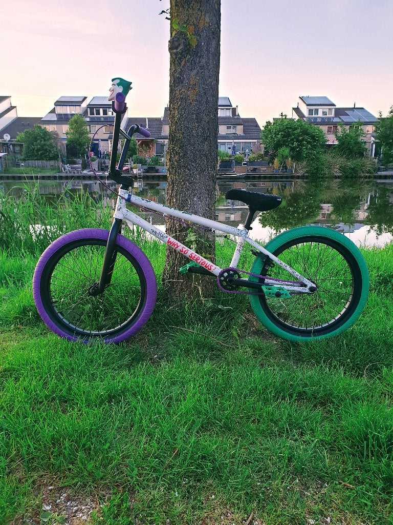 GT WISE BMX (JOKER CUSTOMIZATION), Fietsen en Brommers, Ophalen, Velgrem, V-brakes, 20 tot 24 inch