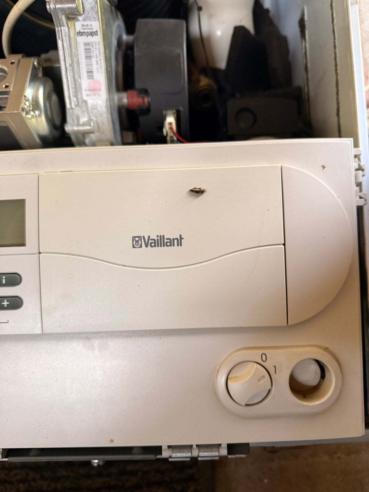 Oude Vaillant CV-ketel, werkend, Doe-het-zelf en Verbouw, Ophalen of Verzenden, Gebruikt, Cv-ketel of Combi-ketel