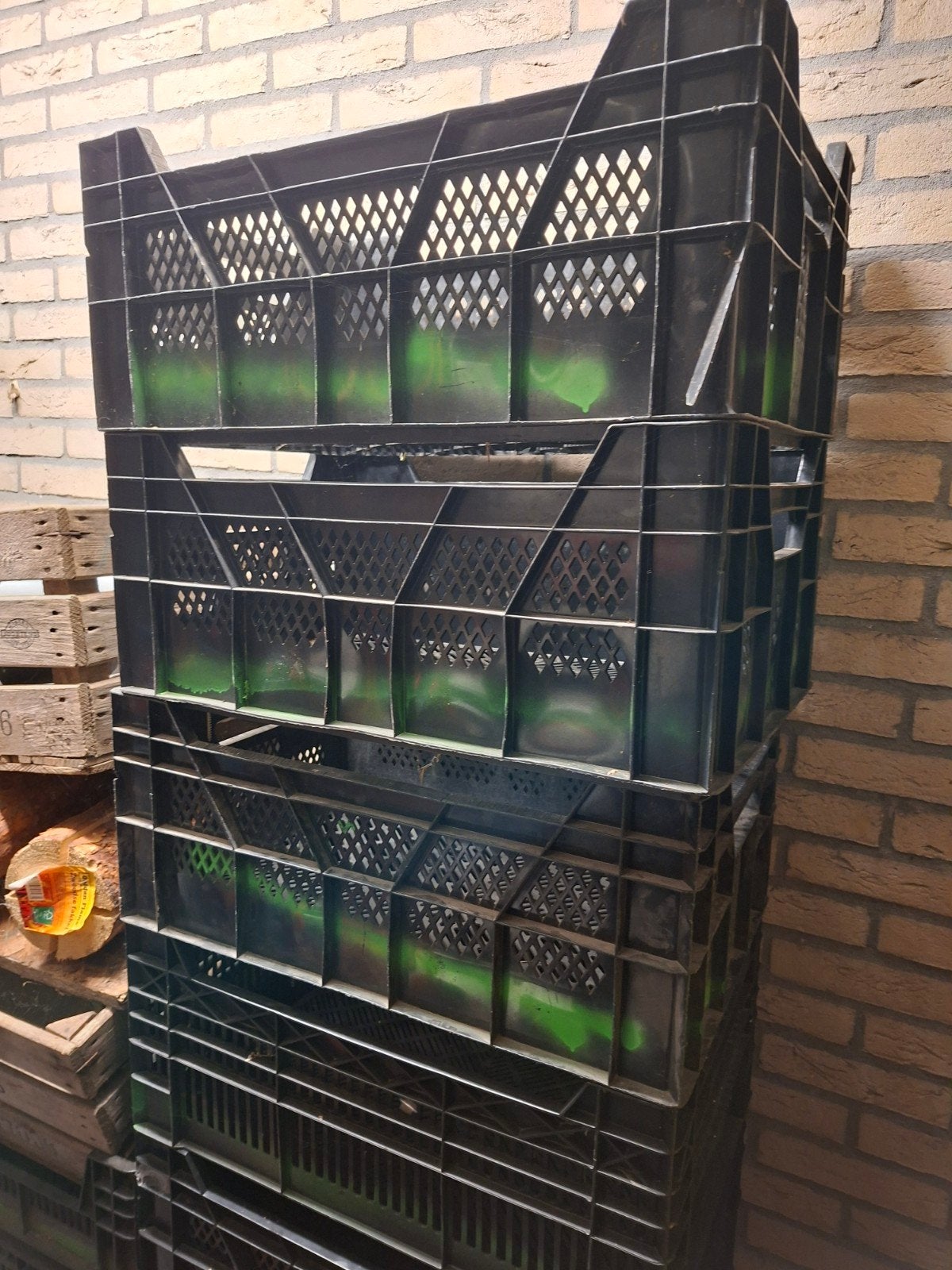 Degelijke plant/opslag kratten, Ophalen, Gebruikt, 40 tot 60 cm, 50 tot 75 cm
