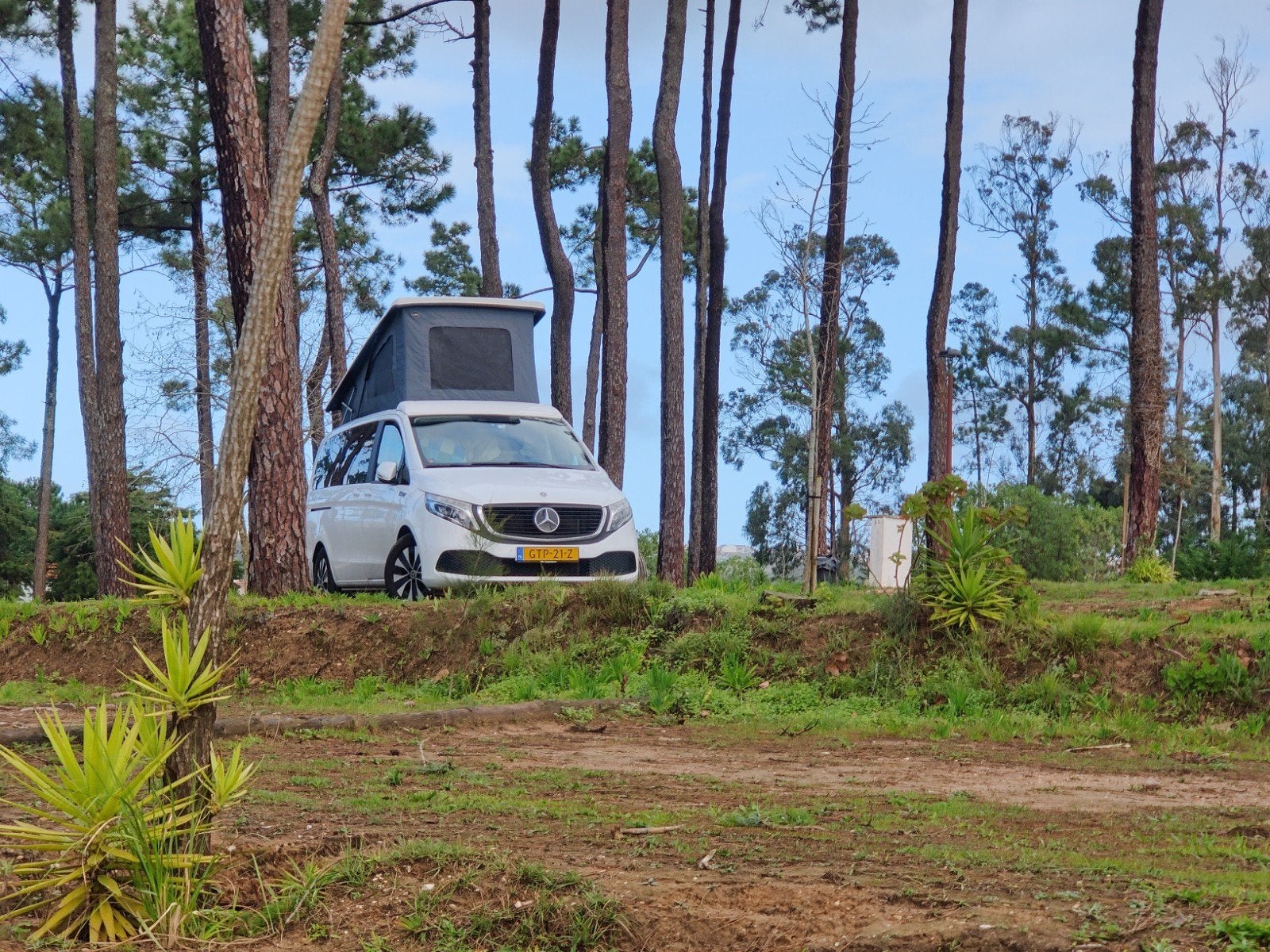 Buscamper MercedesBenz EQV 300L, elektr., actieradius 375km, Caravans en Kamperen, Automaat, Tot en met 2, Mercedes-Benz, Elektrisch