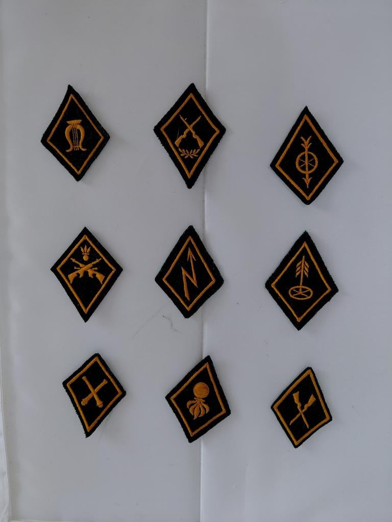 9 Zwitserse halsemblemen/Kragenspiegel van de Armee, Verzamelen, Ophalen of Verzenden