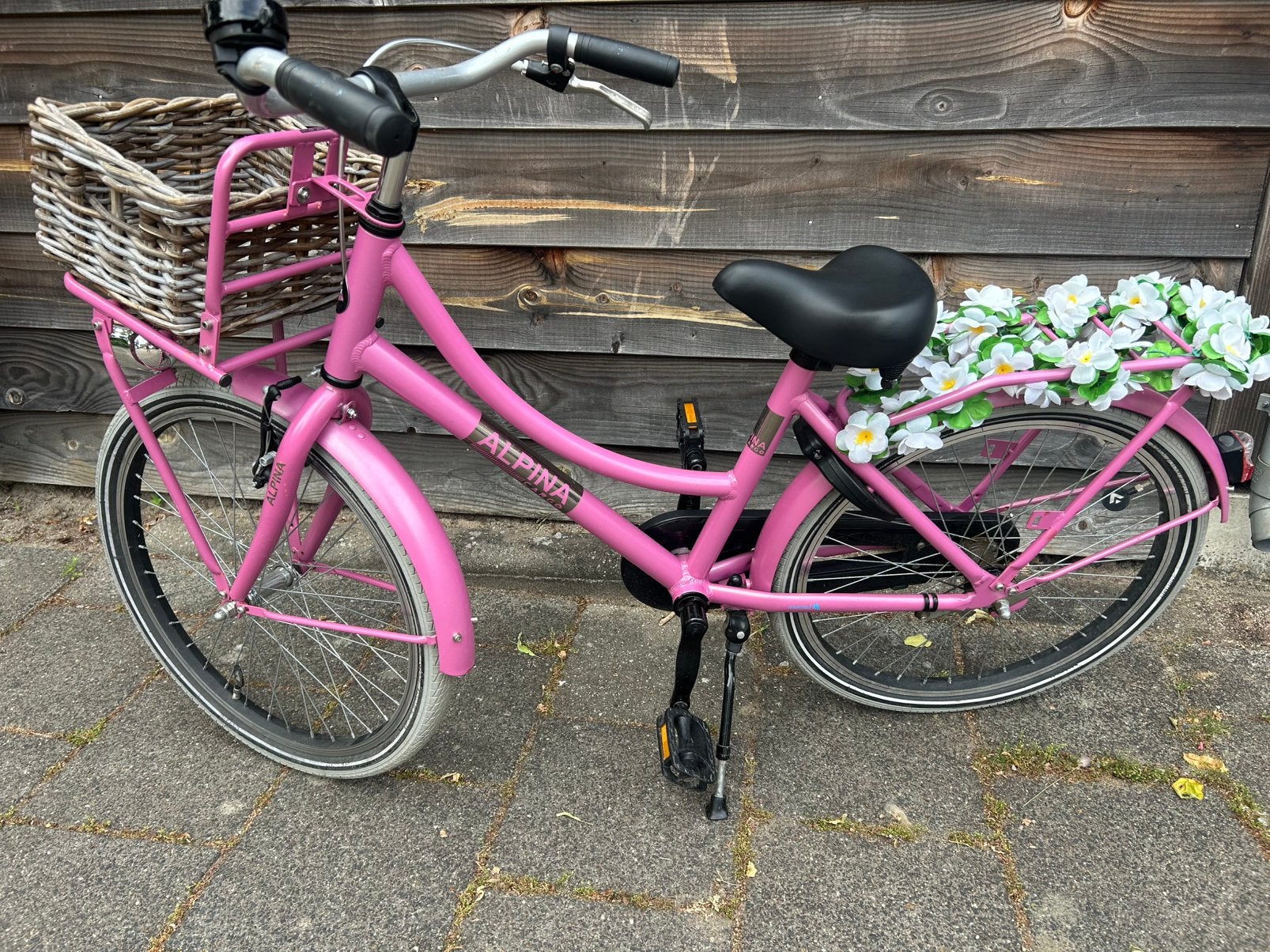 Alpina meisjesfiets fiets 22 inch, Fietsen en Brommers, Fietsen | Meisjes, Ophalen, Gebruikt, 22 inch
