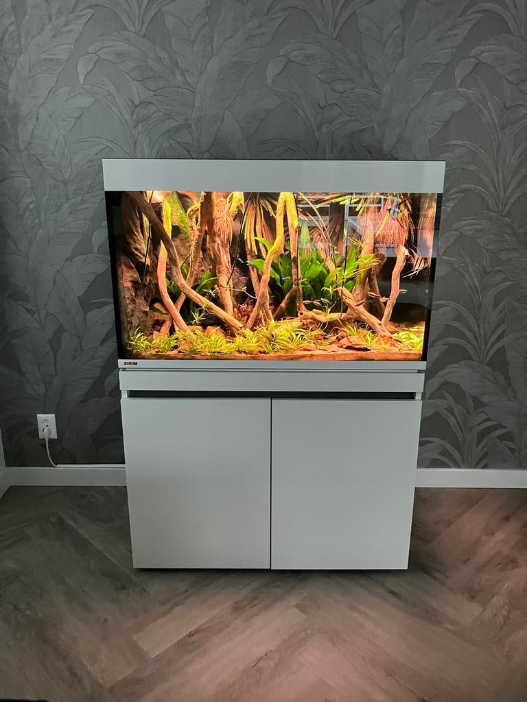 Eheim incpiria 330 Set Wit + Sump en Aquadecor Achterwand, Ophalen, Gebruikt, Leeg aquarium, Eheim