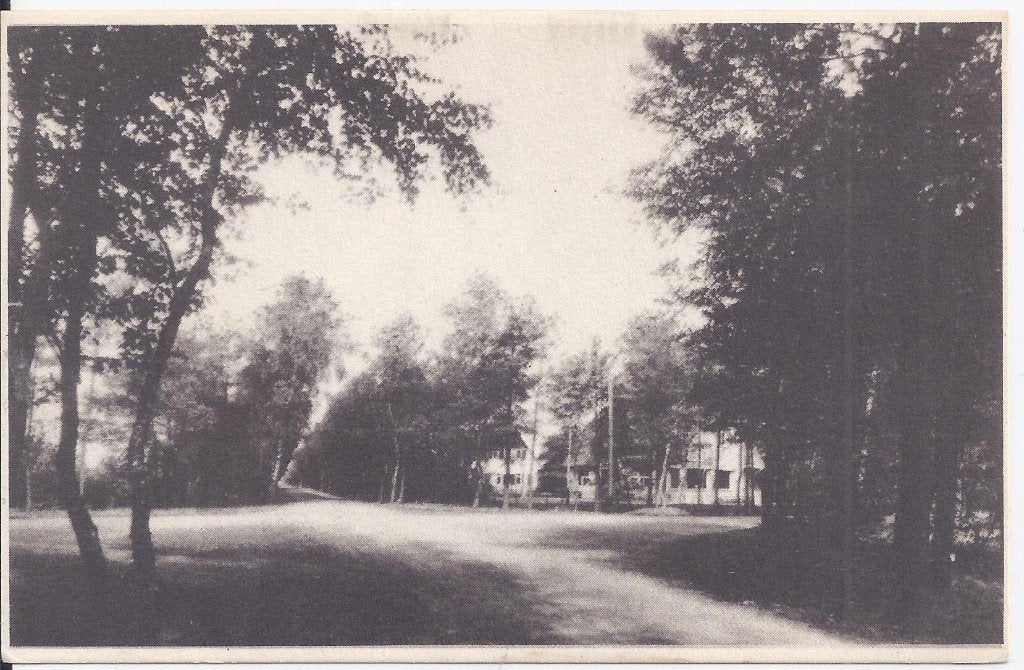 Ermelo viersprong Oude ongelopen ansichtkaart B1038, Ophalen of Verzenden, 1940 tot 1960, Ongelopen, Gelderland