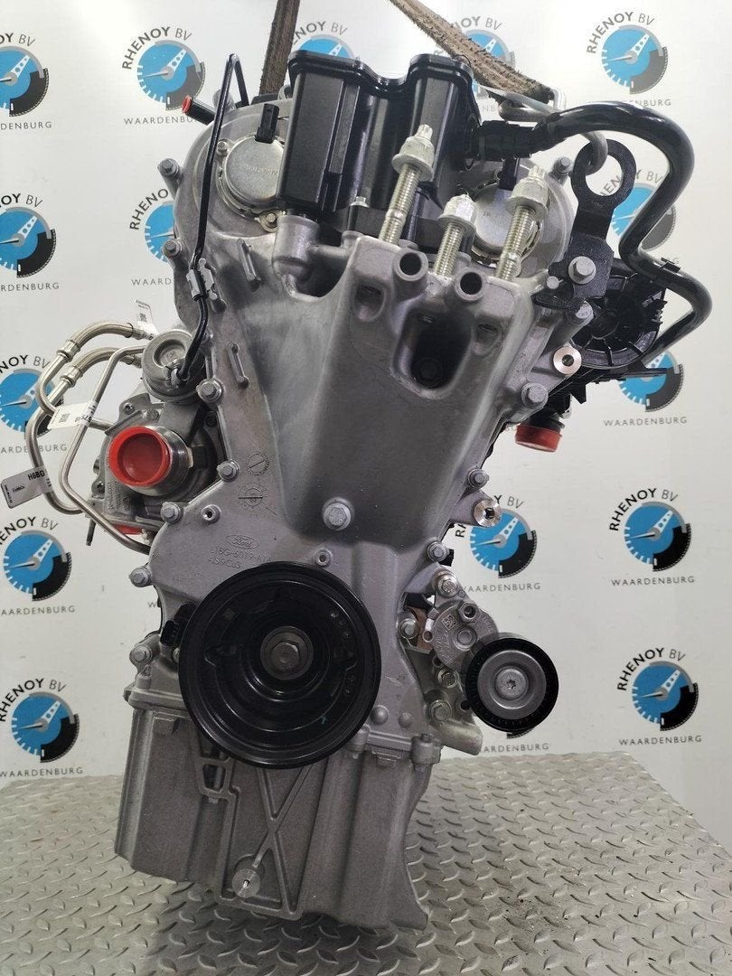 FORD FIESTA MOTOR 2023, Ophalen of Verzenden, Gebruikt, Stiba lid