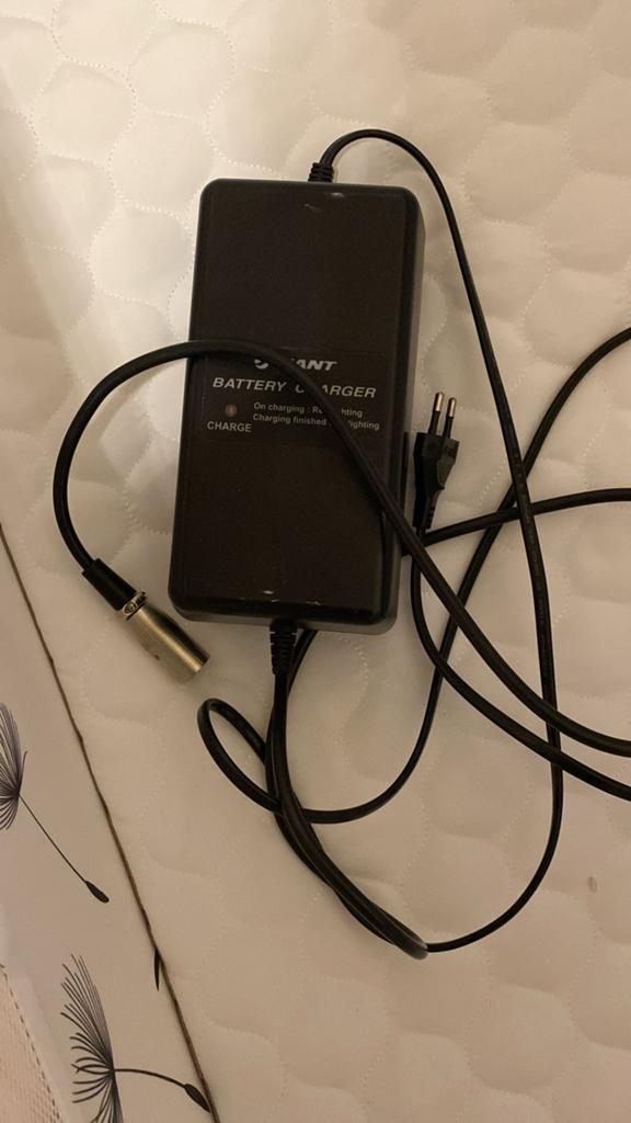 Giant Accu Lader Batterij Oplader 4pins, Ophalen, Gebruikt