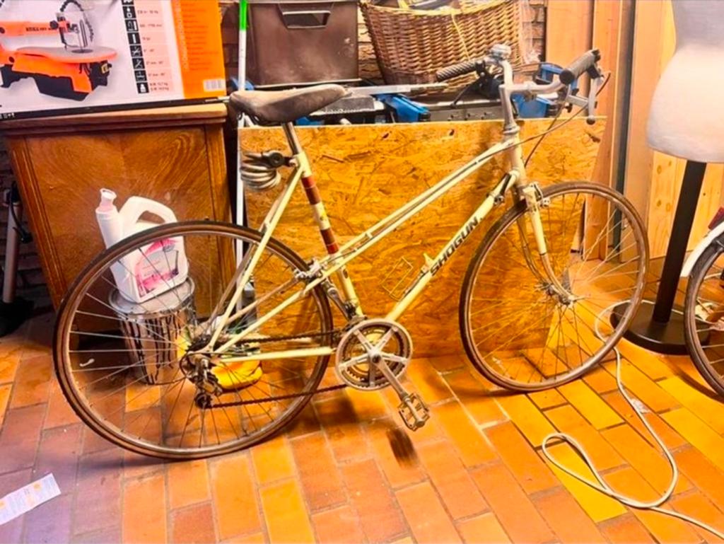 Vintage Shogun dames sportfiets, Ophalen, Gebruikt, 10 tot 15 versnellingen, Overige merken