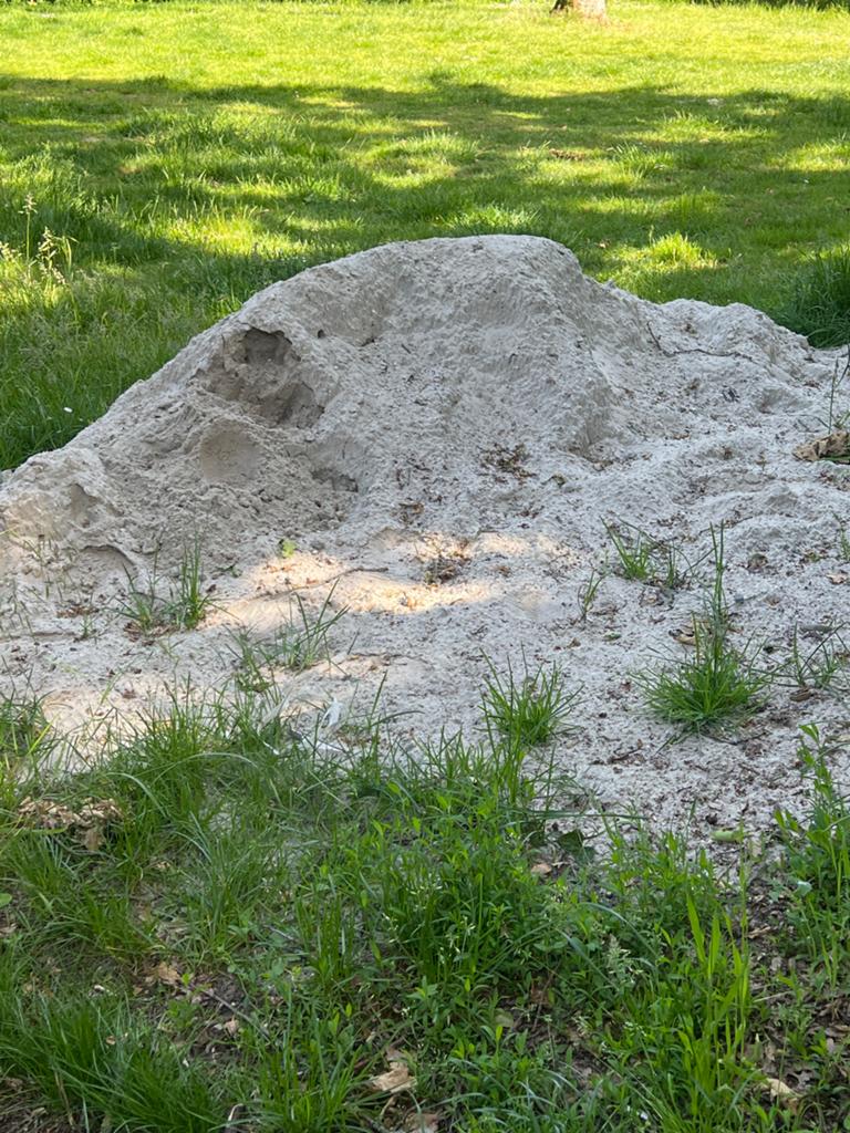 Grote berg zand - Ideaal voor tuin of bouw, Ophalen of Verzenden, Gebruikt, Ophoogzand