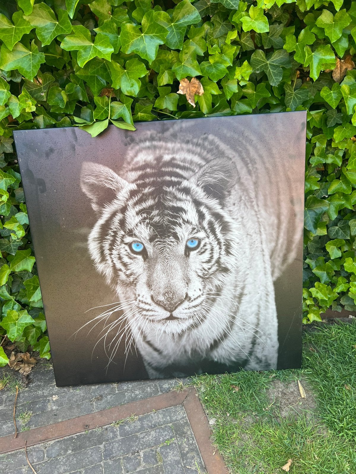 Canvas schilderij, Ophalen, Gebruikt
