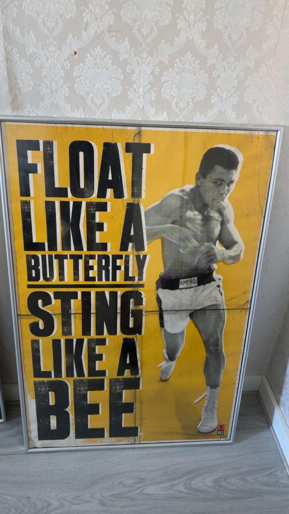 Posters/Prints - Muhammad Ali, Motivatie, Leeuw, Ophalen, 50 tot 75 cm, 50 tot 75 cm, Print