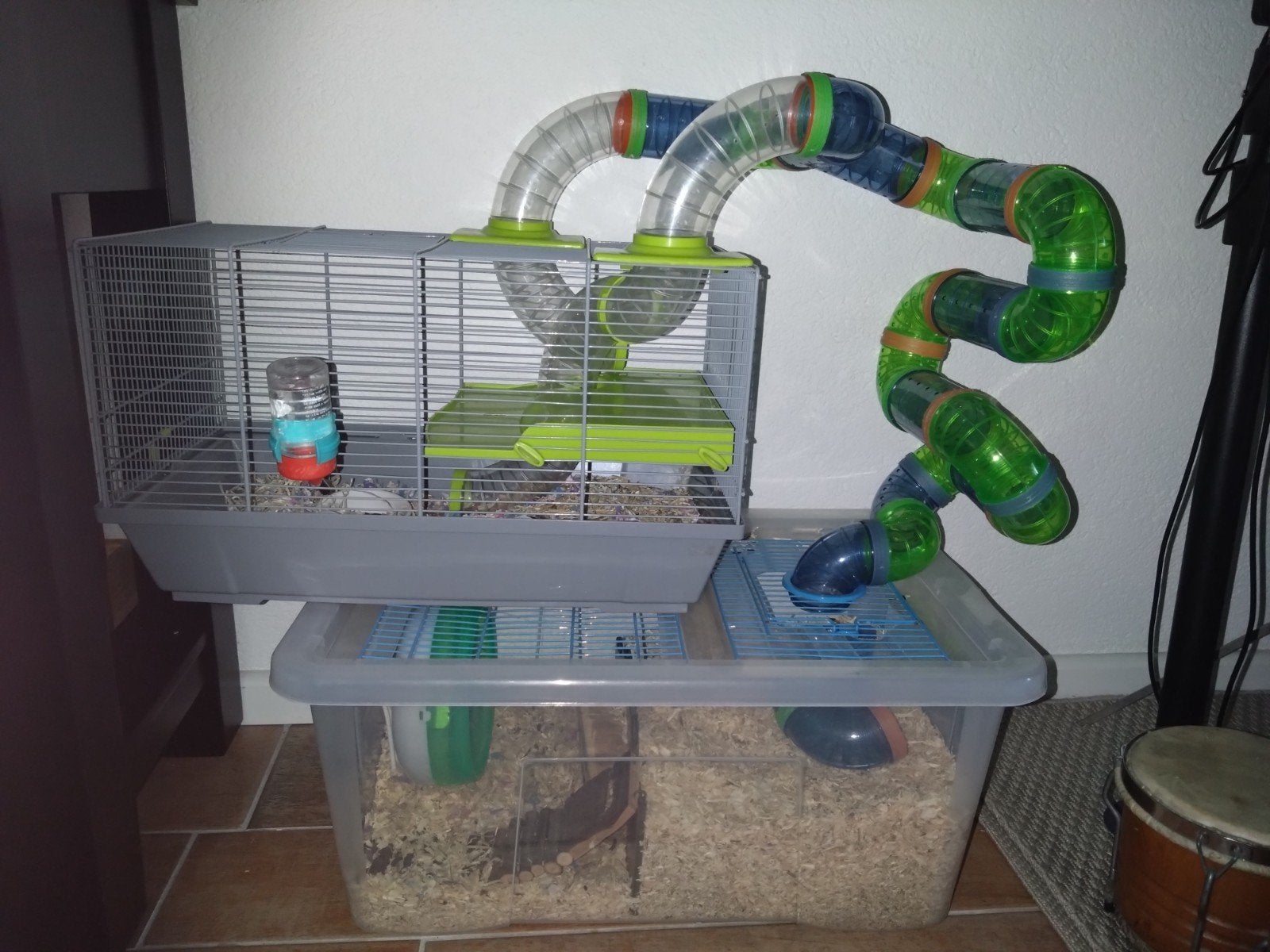 hamsterkooi met toebehoren, Ophalen, Kooi, Gebruikt, 60 tot 90 cm