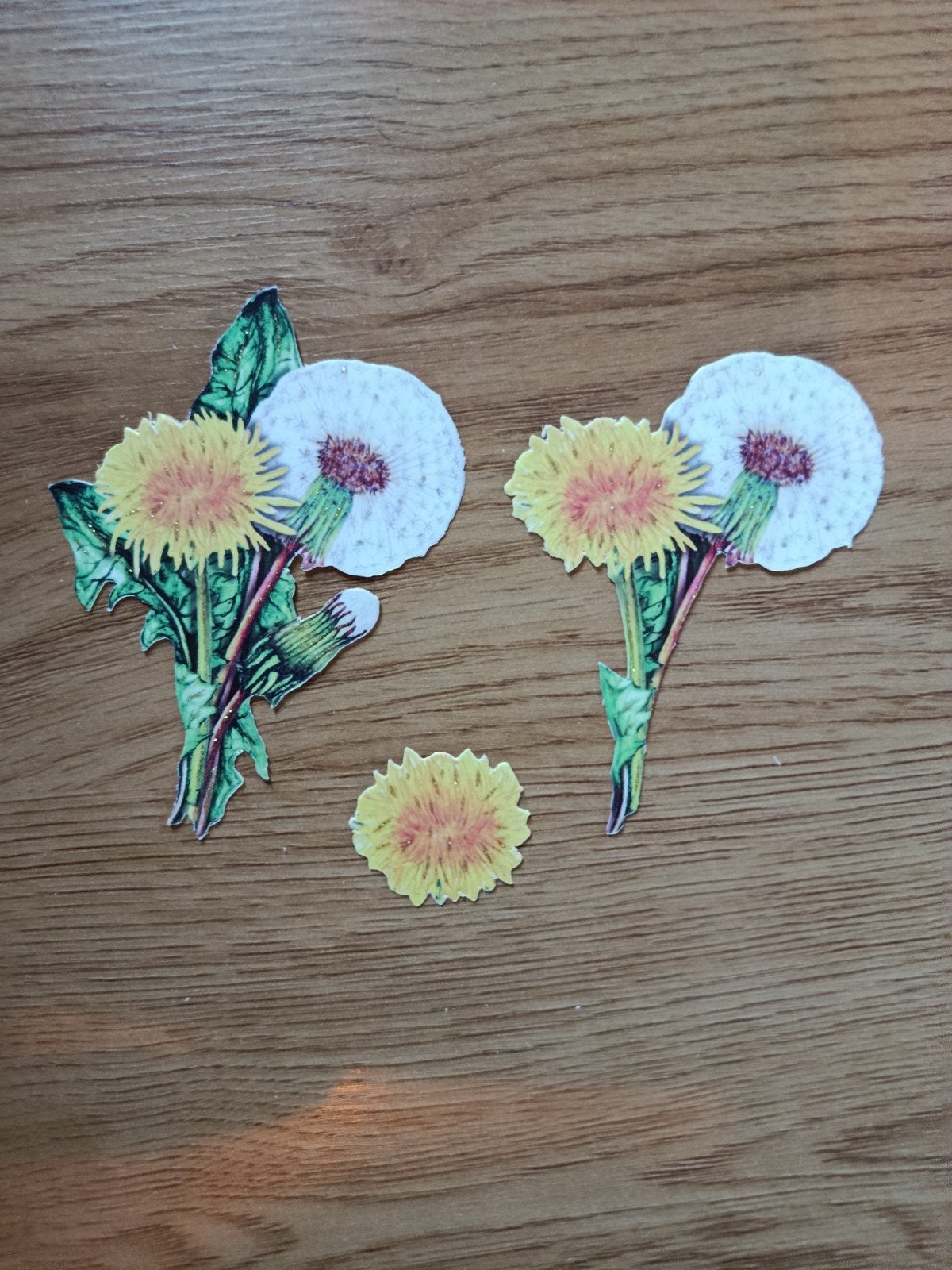 3D plaatjes Bloemen,, Ophalen of Verzenden, Nieuw, Overige thema's, Overige typen