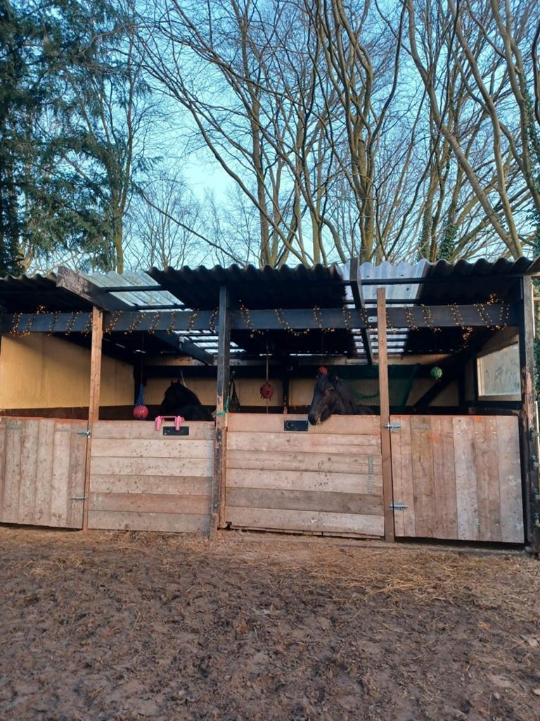 1 stal vrij, Dieren en Toebehoren
