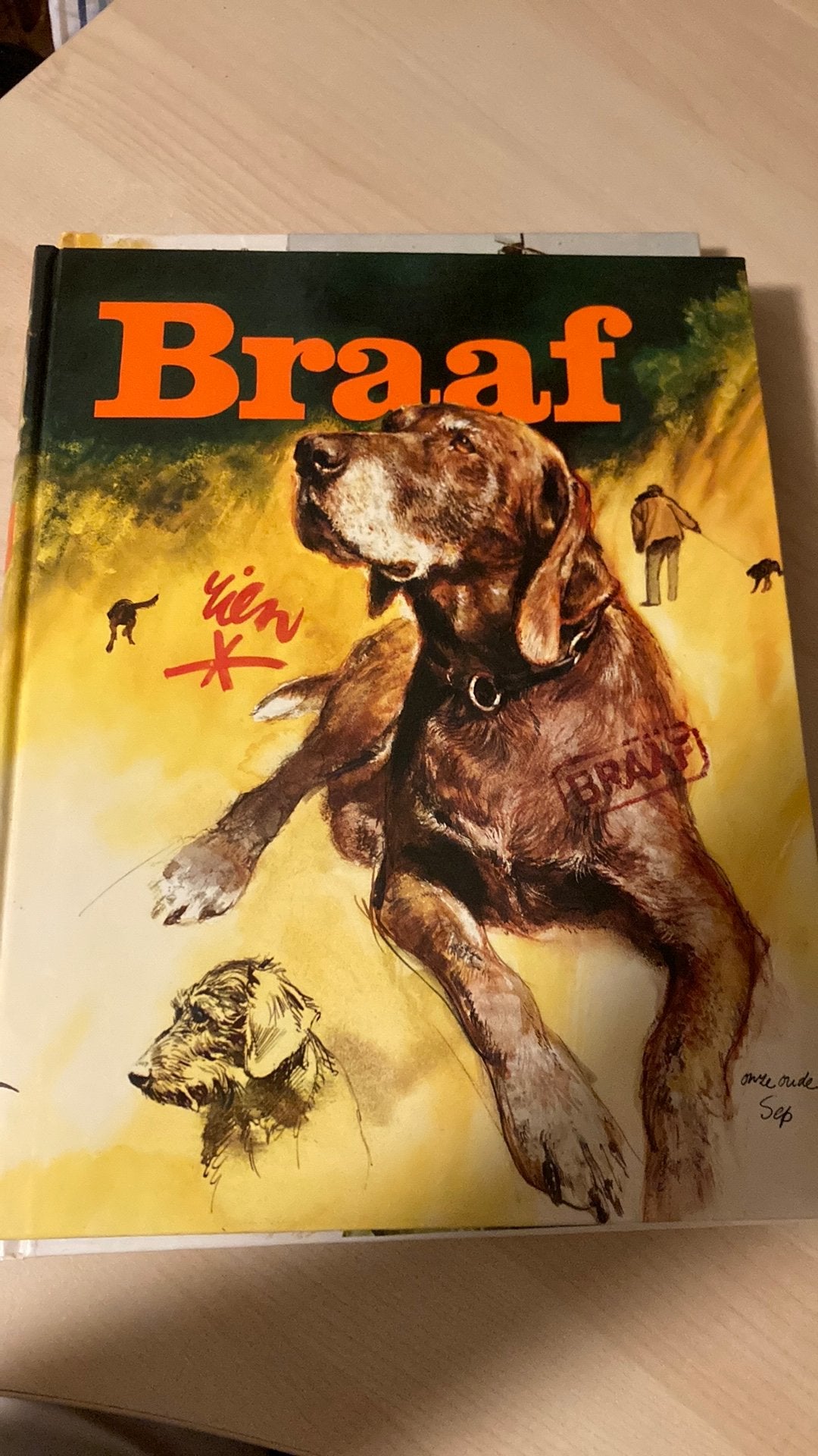 Braaf - Een prachtig geïllustreerd hondenboek, Boeken, Ophalen of Verzenden, Zo goed als nieuw, Honden