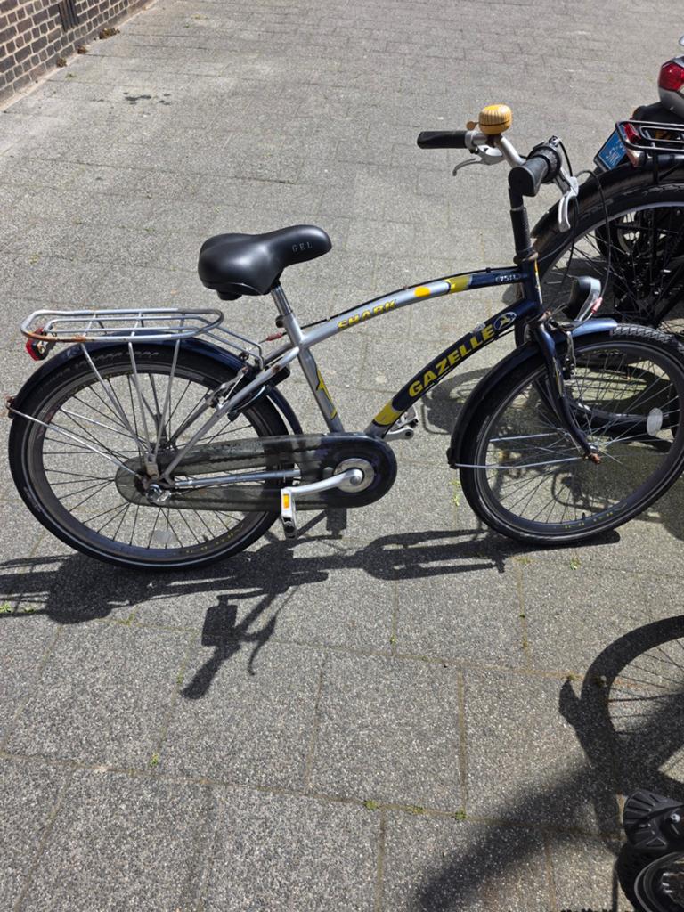 Kinderfiets, Fietsen en Brommers, Fietsen | Cruisers en Lowriders, Minder dan 47 cm, Ophalen of Verzenden, Gebruikt, Staal