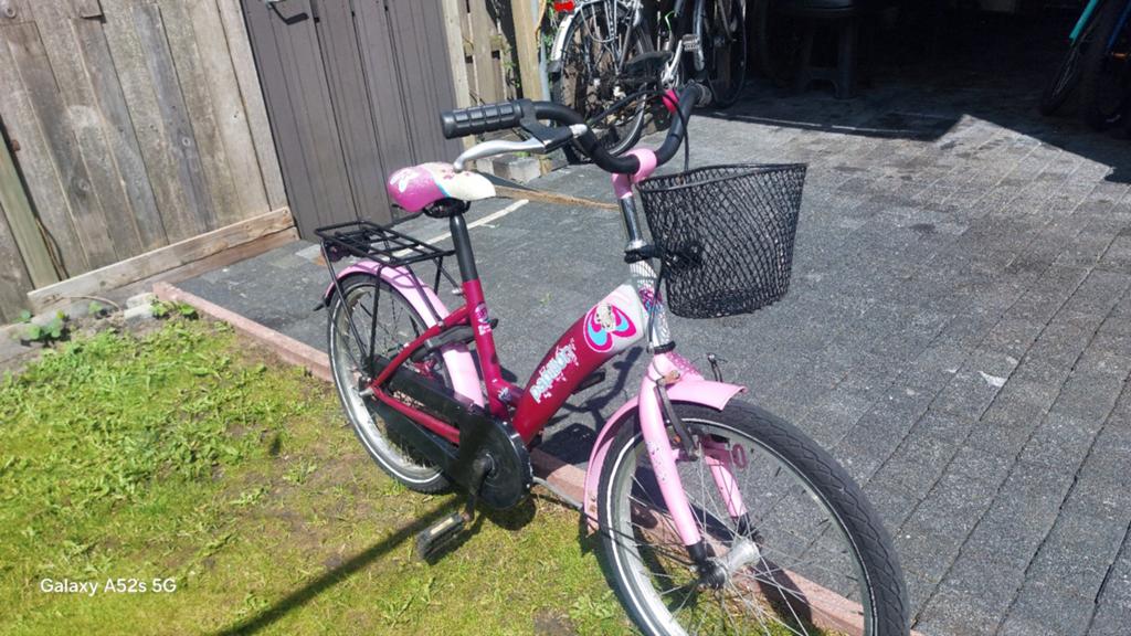 Meisjesfiets 20 inch roze met mandje en bagagedrager, Terugtraprem, Gebruikt, Onbekend, Ophalen of Verzenden