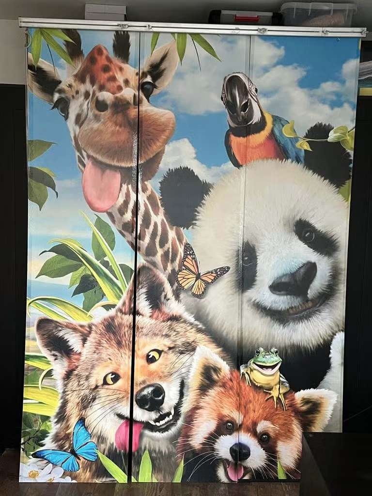 Kamerscherm 🔺 Room divider 🔺 Jungle, Ophalen, Zo goed als nieuw, Wanddecoratie