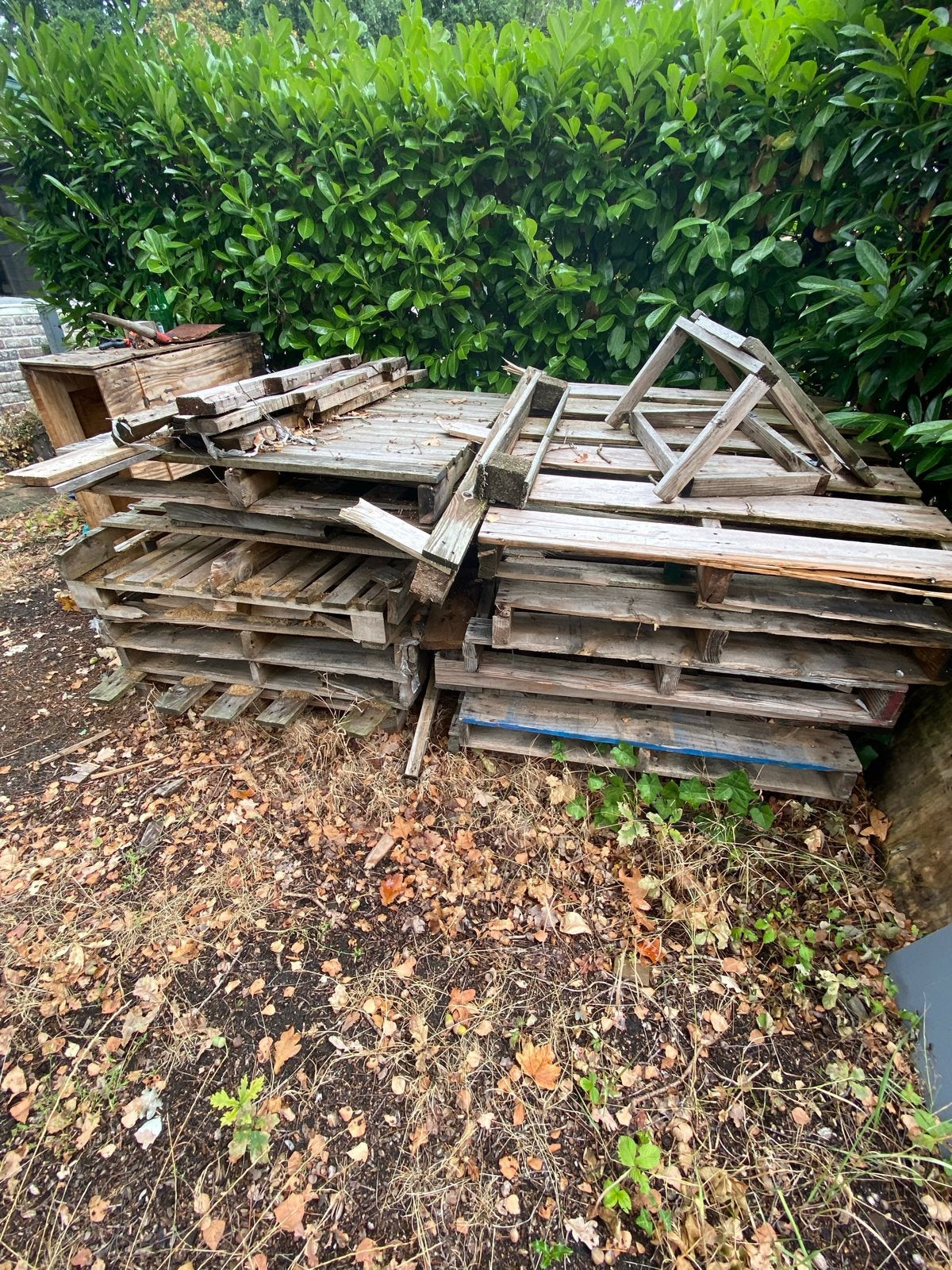 Gebruikte pallets en hout voor diverse projecten, Ophalen, Gebruikt, 25 tot 50 mm, Pallet