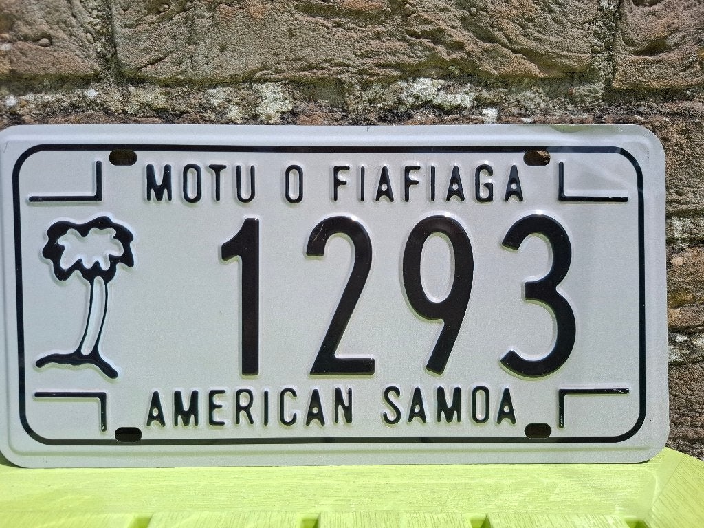 Amerikaanse nummerplaat, Ophalen of Verzenden, Nieuw, Auto's