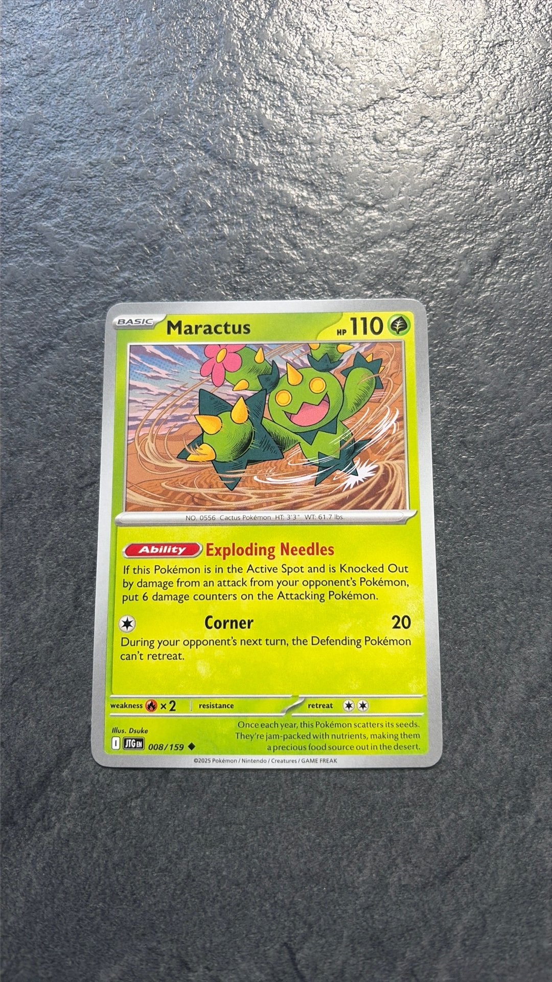 Maractus, Ophalen of Verzenden, Zo goed als nieuw