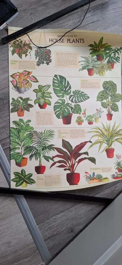 Planten poster, Verzamelen, Posters, Ophalen of Verzenden, A1 t/m A3