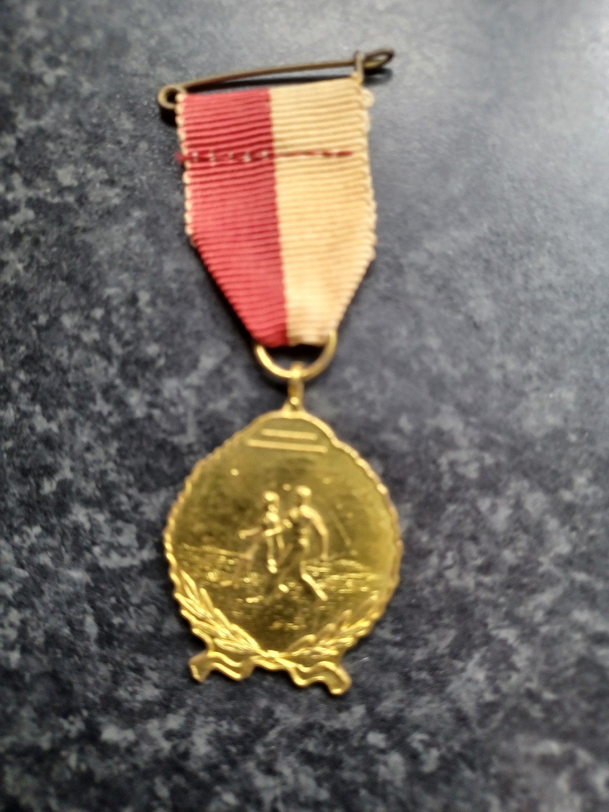 Medaille WSV Irene Eindhoven, Ophalen of Verzenden, Overige materialen, Nederland