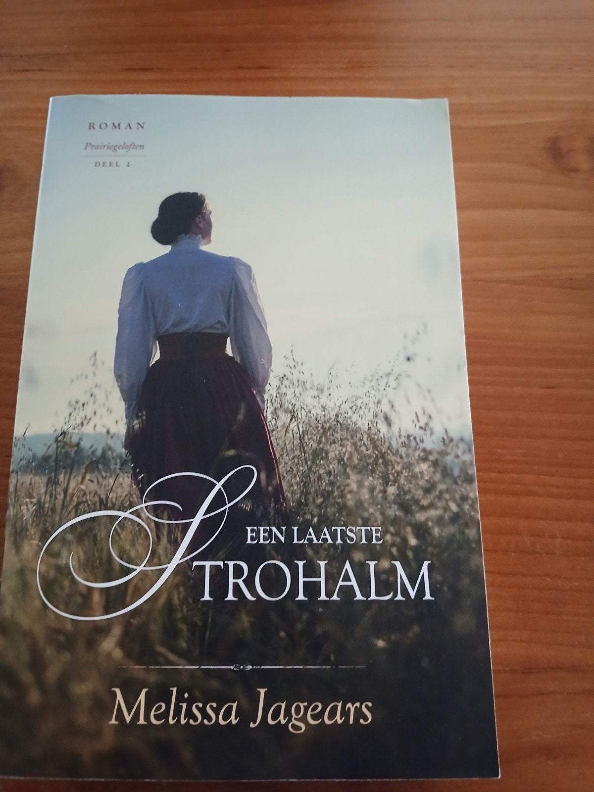Een Laatste Strohalm - Melissa Jagears, Boeken, Ophalen of Verzenden, Zo goed als nieuw, Melissa Jagears, Amerika