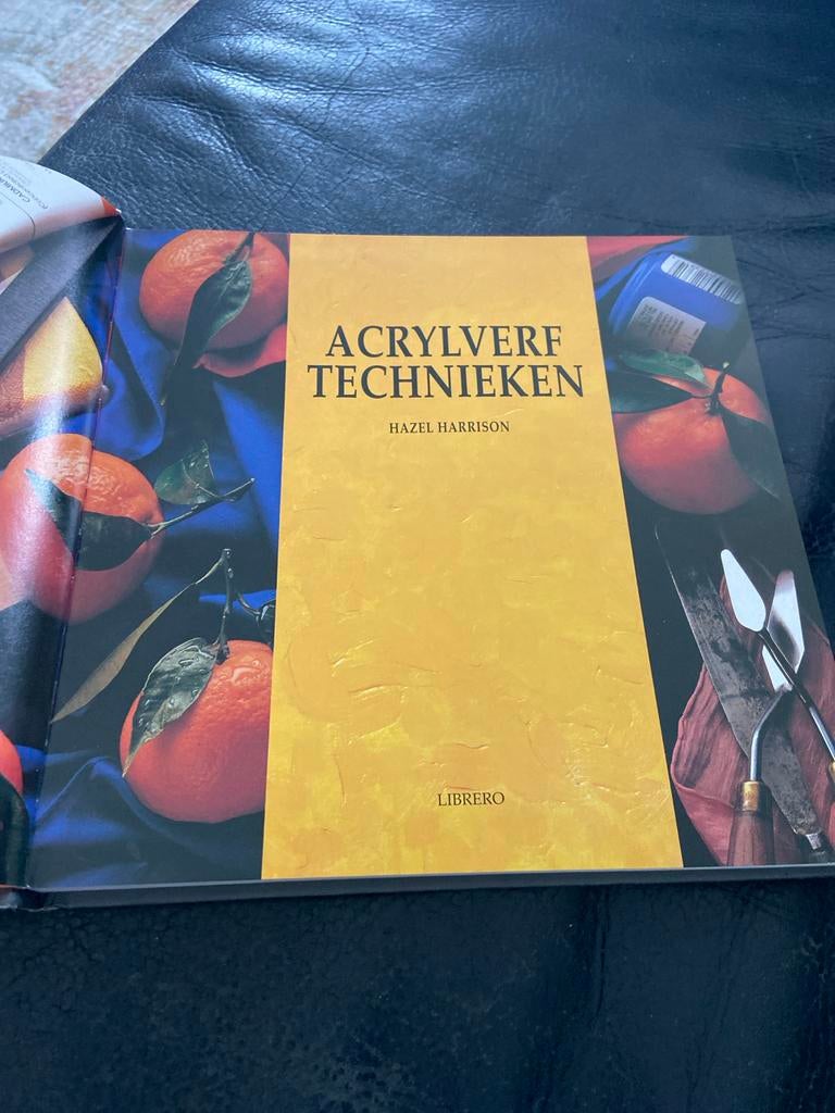 Acrylverftechnieken - Hazel Harrison (duidelijk, goede voorb, Boeken, Ophalen of Verzenden, Gelezen, Schilder- en Tekenkunst