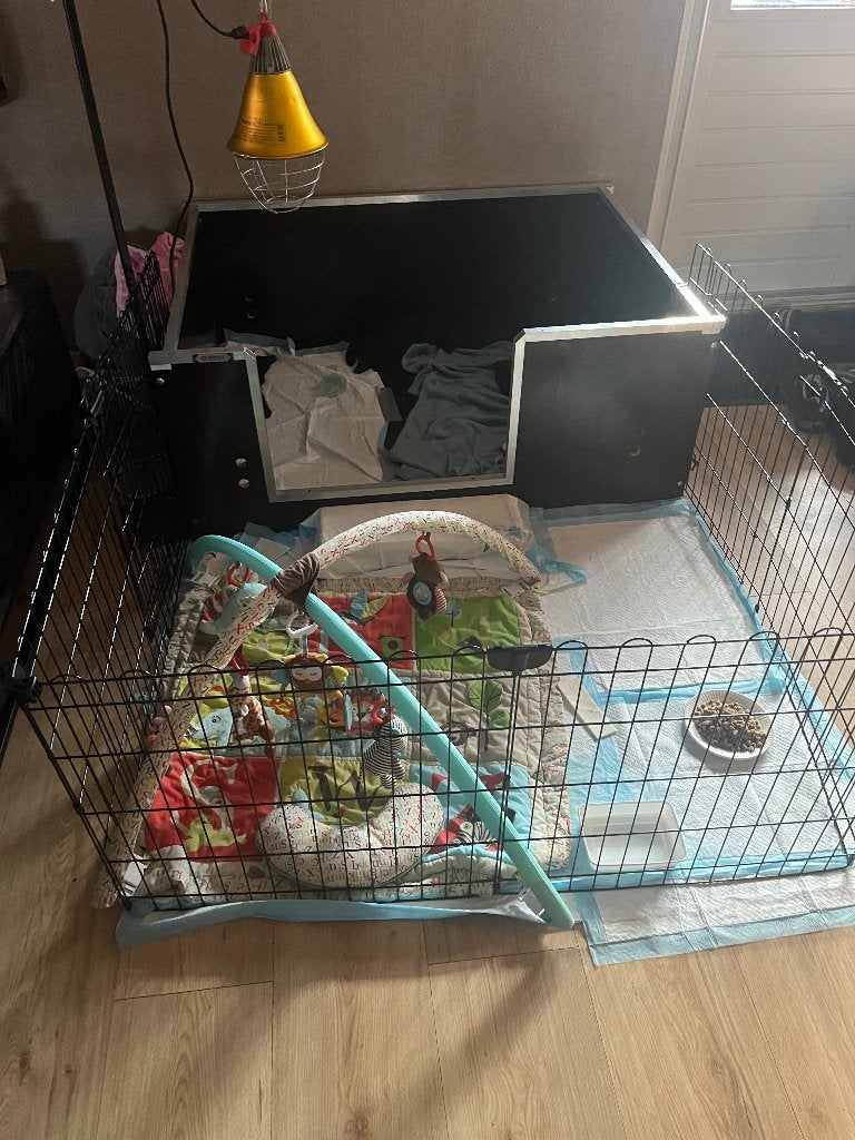 Professionele werpkist, Dieren en Toebehoren, Ophalen of Verzenden, Zo goed als nieuw, 110 cm of meer, Minder dan 65 cm