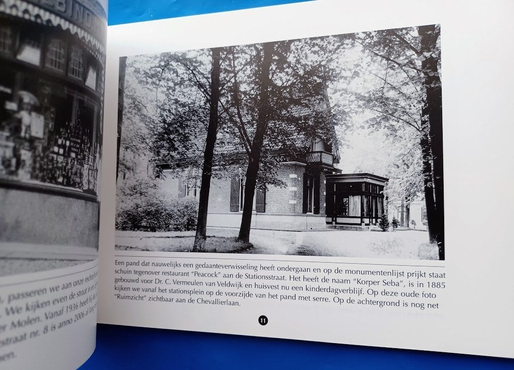 Oud Ermelo te voet van het station naar het Weitje, Boeken, Geschiedenis | Stad en Regio, Verzenden, Zo goed als nieuw