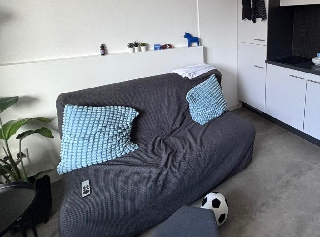 IKEA LYCKSELE MURBO Sofa Bed, 2-Seat, Dark Grey, Folds Out, Ophalen, Tweepersoons, 140 cm, Zo goed als nieuw