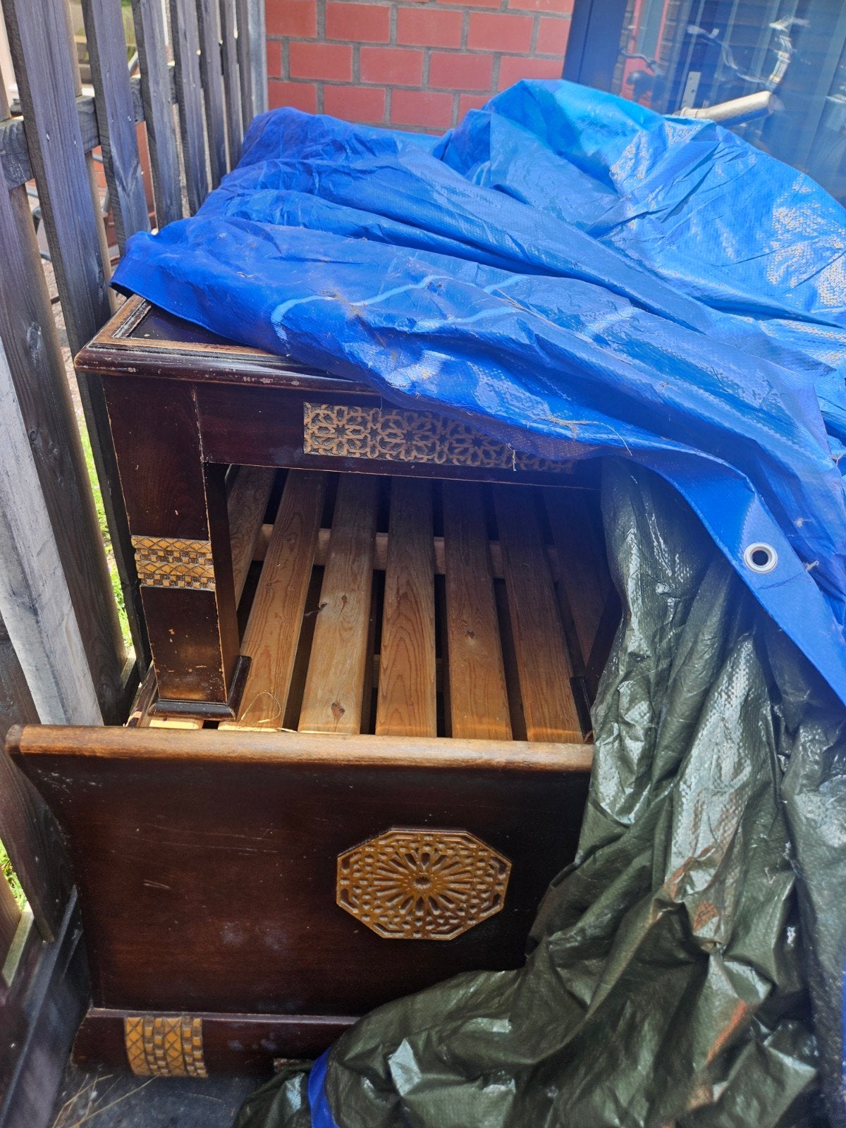 Gratis Marokkaanse sedari, Gebruikt, Overige typen, Minder dan 100 cm, 25 tot 50 cm