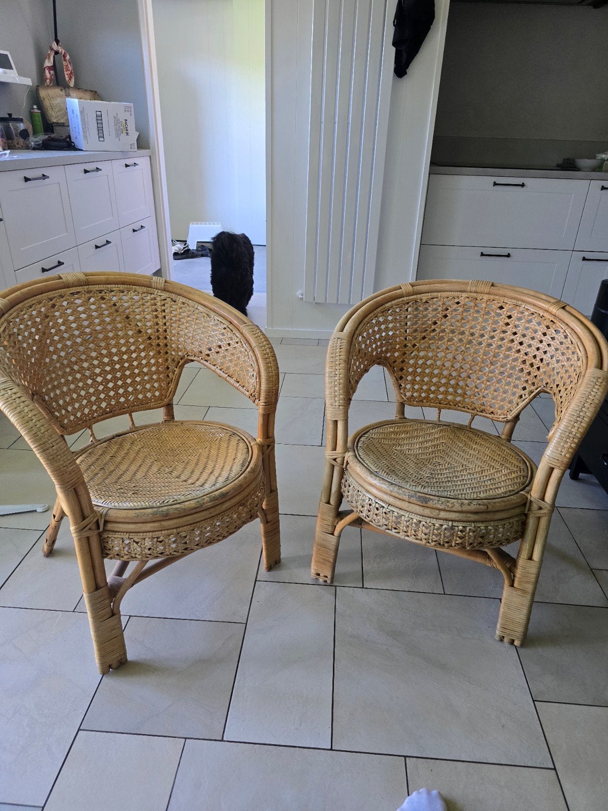 Rotan stoelen 2x, Ophalen, Gebruikt